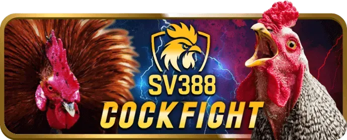 Ưu đãi và khuyến mãi VIP bet89